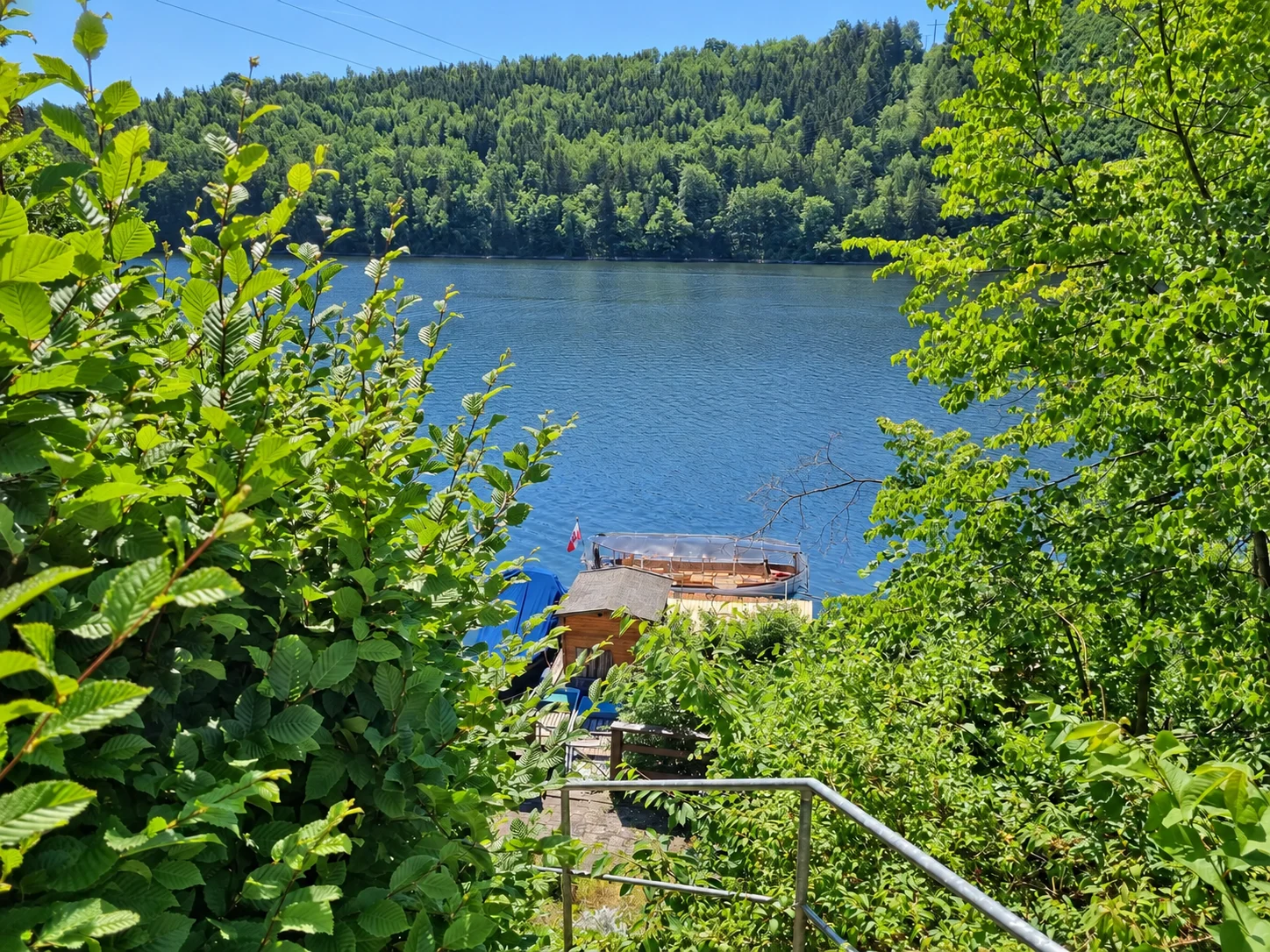 Blick vom bewachsenen Ufer über den Zugang zum Bootssteig und zum Hohenwarte-Stausee