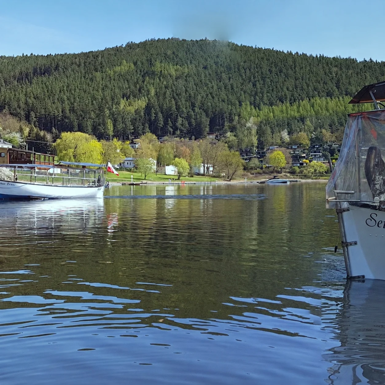 Blick vom Wasser über den Hohenwarte-Stausee zur bewaldeten Uferlandschaft