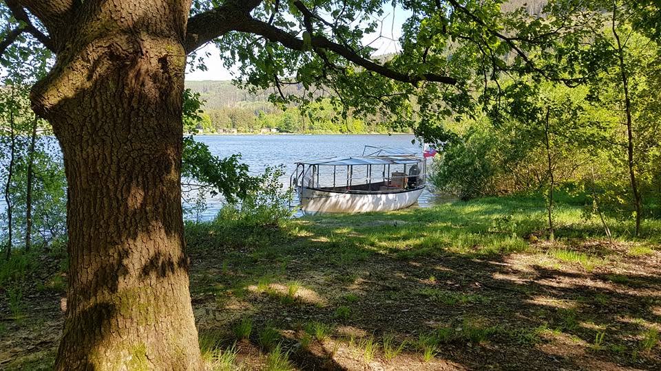 Elvira zwischen Bäumen am Ufer des Sees